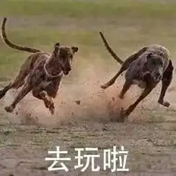  五一小长假,英魂劳模表彰大会来啦
