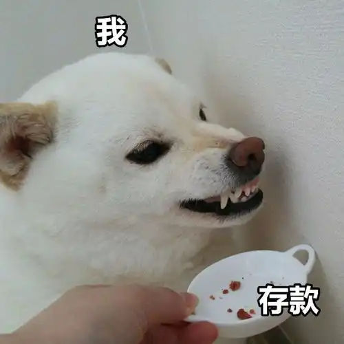  有的人虽然双11破产了,但依旧是表情包大户
