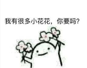花花送给你表情包花花
