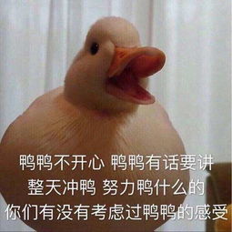  一段鸭脖引发的血案,一场关于鸭脖的奇闻趣事