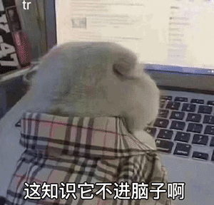 超搞笑的表情包动态脑子