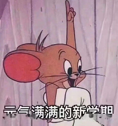 胖肉表情包肉偿
