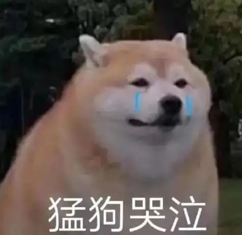 淘汰犬全部售出,最高拍卖价33万新主人值