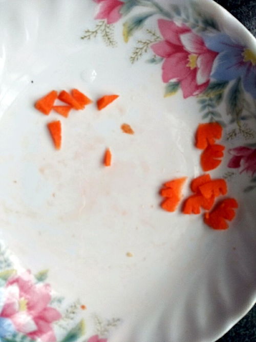  表情芝士表情包便当百吉福食尚达人的做法菜谱豆果美食表情