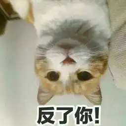  喵星人给你丢了个表情包你算哪块小饼干