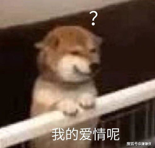  搞笑表情包图片小朋友你是否有很多问号
