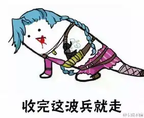 斗图从没输过一大波lol表情包