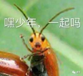  肥唐说男子跳楼自杀砸死女子,能不能死远点