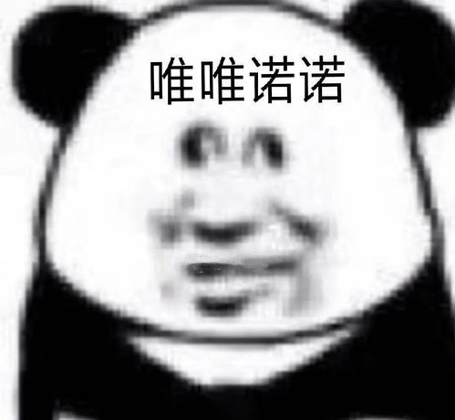  jk衬衫可以搭配普通长裙子嘛