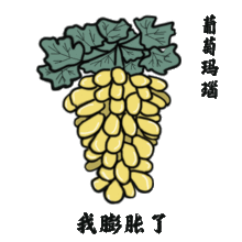  奇石表情包第二弹你准备好接收了吗