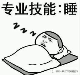  好久不见,开学你好
