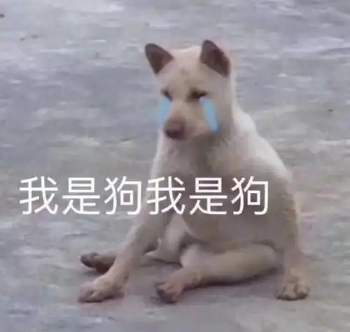 大部分渣男的表情包狗狗