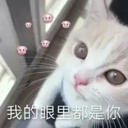  嘿,小学同学我梦到你说喜欢我啦,很早之前就喜欢的那种,所以谈恋爱吗简书