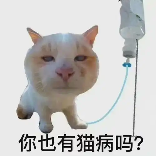  轻松一刻午间版你的工资够交几次罚款
