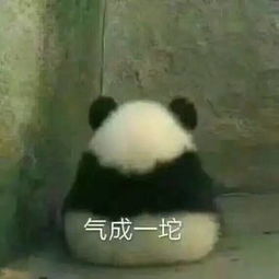  国宝表情包