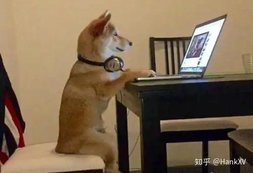  有什么猫狗喜欢看的电视剧推荐吗