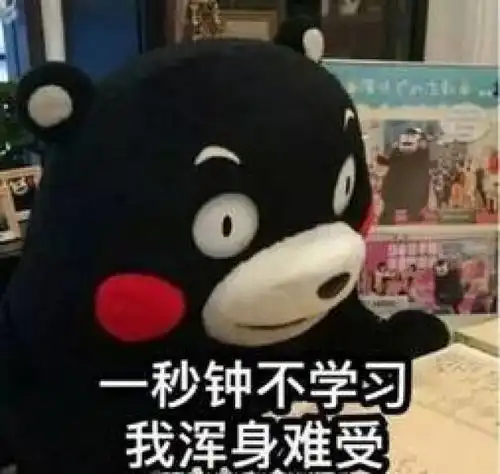  爱学习表情包送你考研复习的你