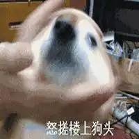 狗头表情包原型头像