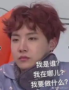  防弹表情包
