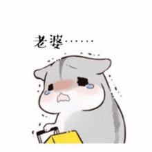  仓鼠动态表情包合集再不哄我,你就要失去我