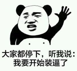  谁有臭熊猫贱贱表情包,分享下,谢谢类似这种的
