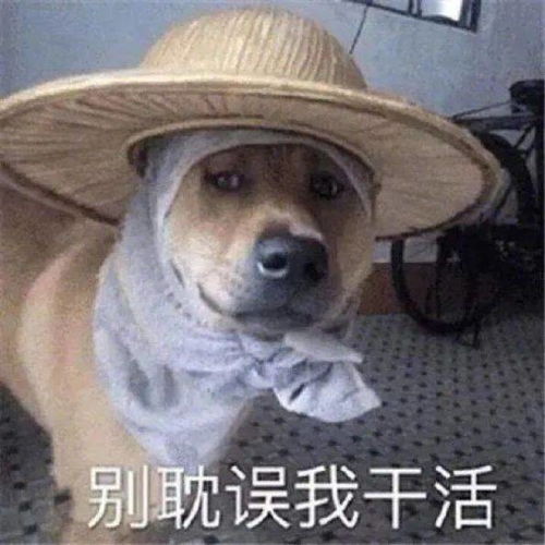  还有冻雨或雨夹雪气温持续低调,这里会出太阳