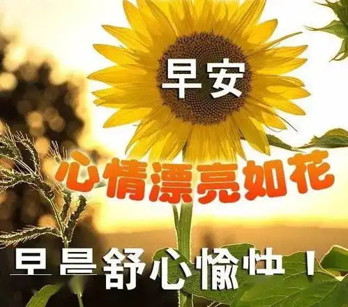 表情包早安大家早上好