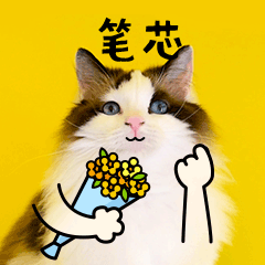 萌宠表情包gifgif