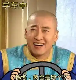 王守海表情包彩礼