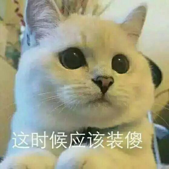  什么样的人才是真正的吃货