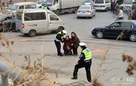  路人与司机争执后被车轧死