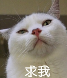  一个人的七夕孤独界你算老几