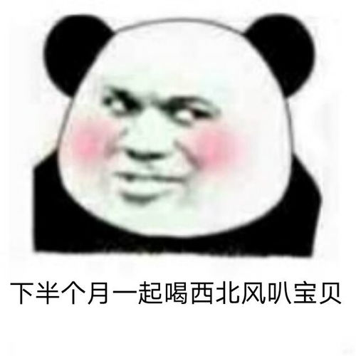  熊猫头表情包双十一