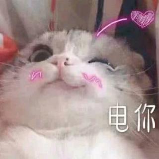  在线收听kinai荔枝