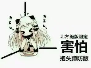 北京暴雨只有俄航客机降落俄航这是真的 北京暴雨只有俄航客机降落俄航这是真的