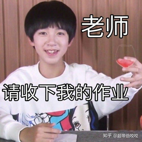  有没有什么关于交作业的表情包