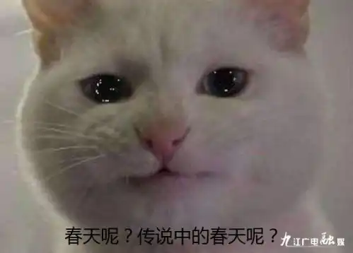  看过来九江接下来的天气让你有点蒙
