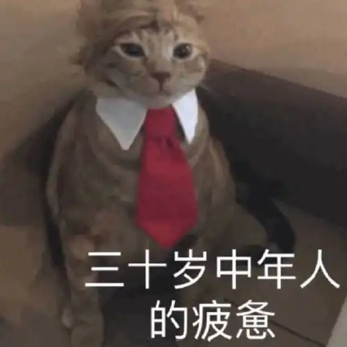  萌宠表情包负心汉不要讲话