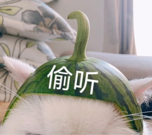  女生怎样发朋友圈才能被其他沙雕网友发现