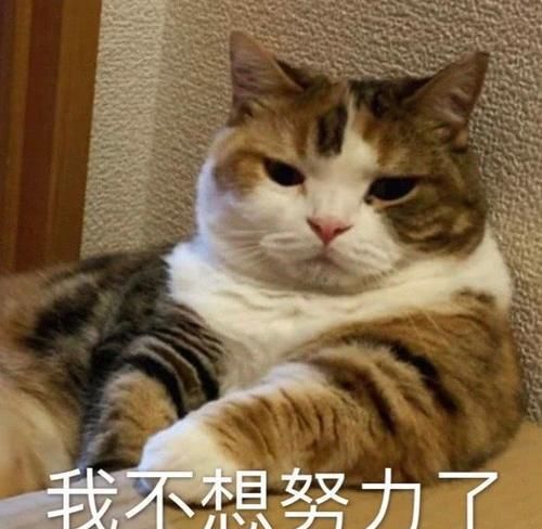  每日一笑她笑了笑编故事挺快嘛,这口红我新买的奶茶店