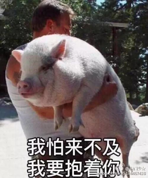  注意14号台风帕卡已生成,预计后天登陆华南三明将...
