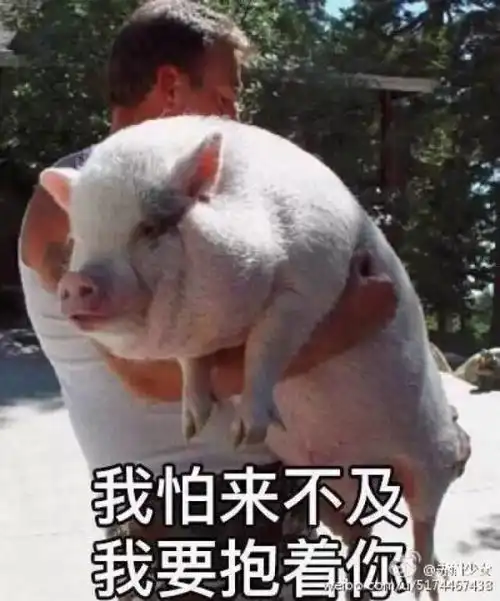  注意14号台风帕卡已生成,预计后天登陆华南三明将...