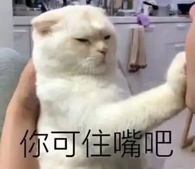  让沈月穿6万块一件的体雕衣躺着就瘦20斤不是梦