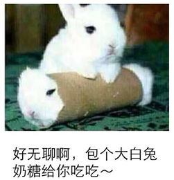  那些年红极一时的年货大礼包别说你没收到过