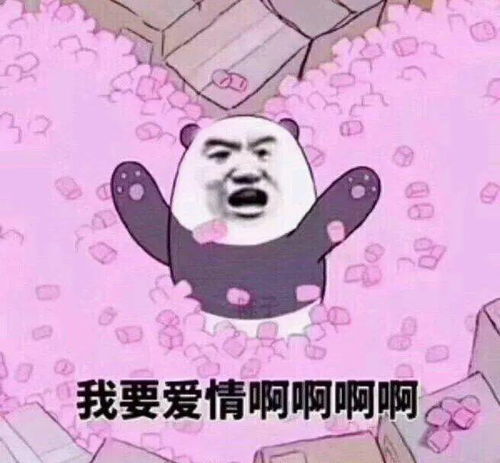  今日表情推荐,1123