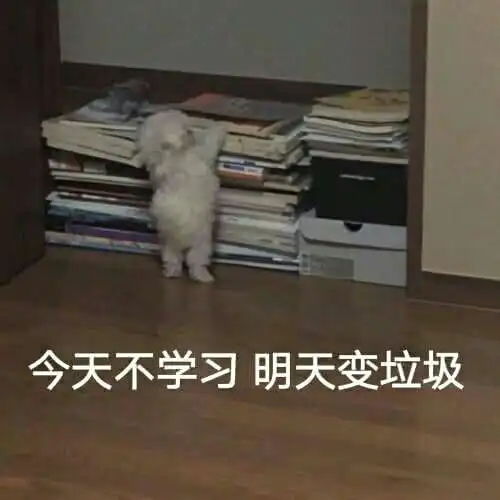  学习励志表情包