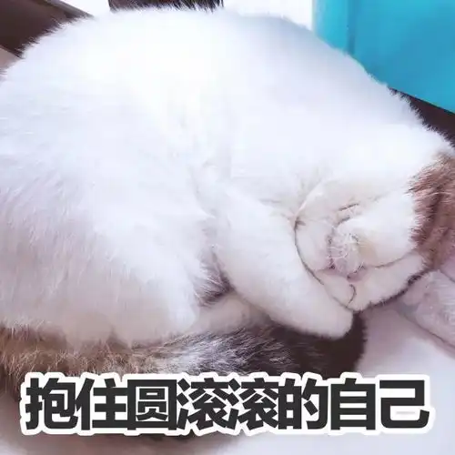 兔子吞脑袋表情包一套扎