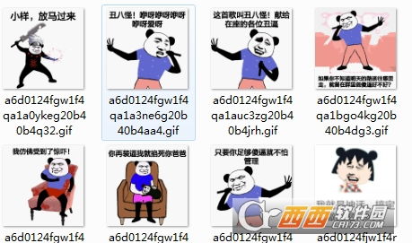  熊猫头搞笑表情包