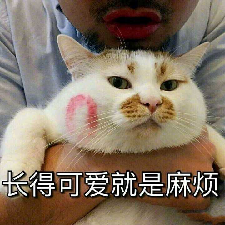 黄胖子拍肚皮表情包生日
