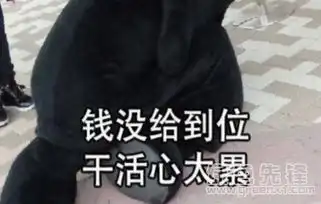 抖音996工作制qq表情包996工作制表情素材v1.0正式版软件下载 抖音996工作制qq表情包996工作制表情素材v1.0正式版软件下载